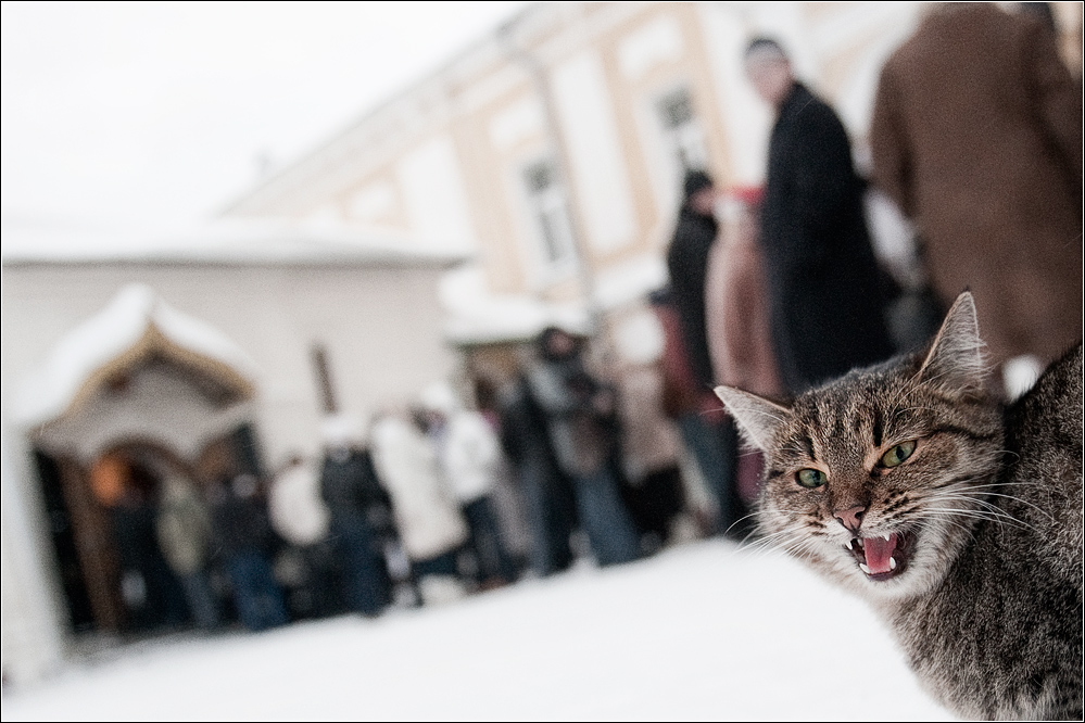 В очередь!