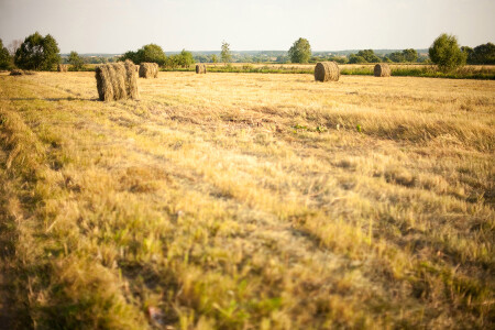Жаркий август