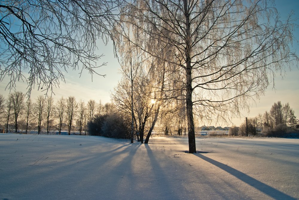 За поселком