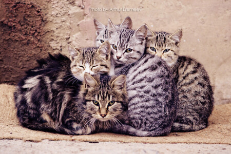 Мать и дети