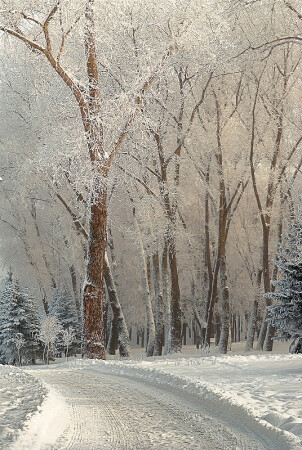 Зімняя дорога