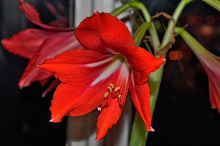 Новогодний фейерверк.....