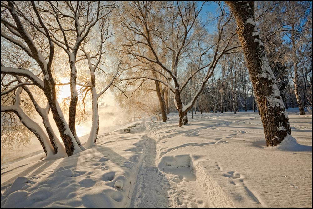 Мороз и солнце