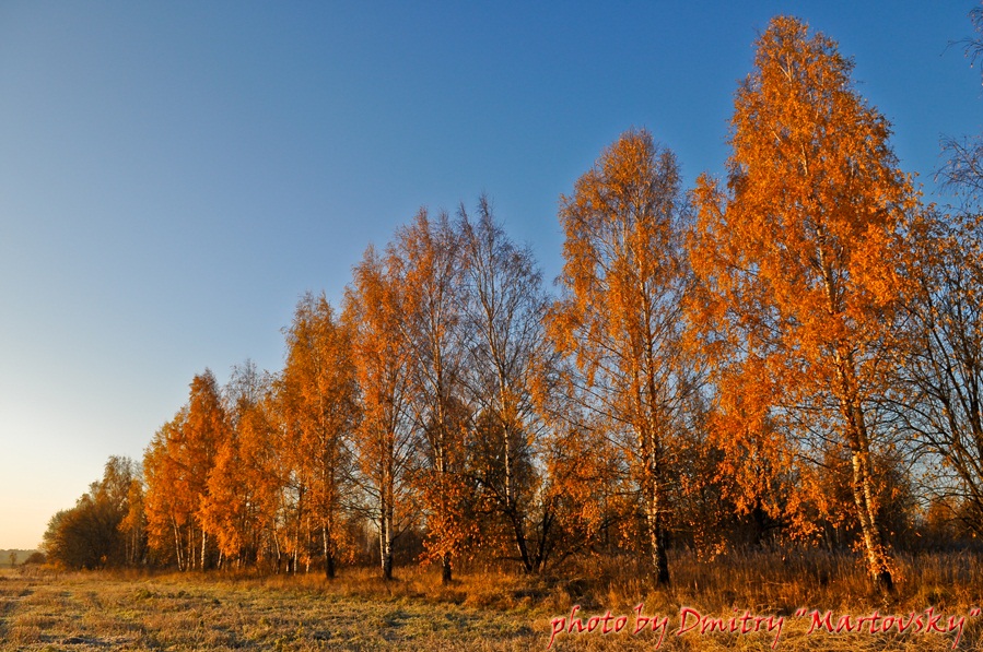 Золотая осень