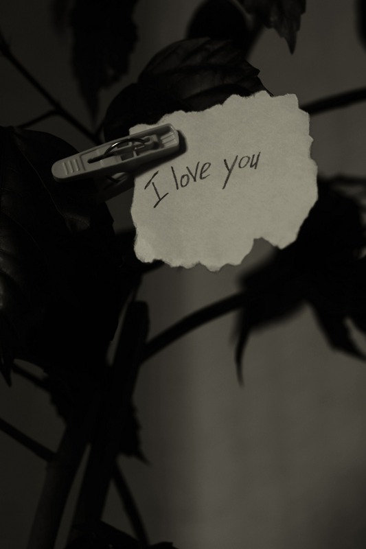 I Love you...