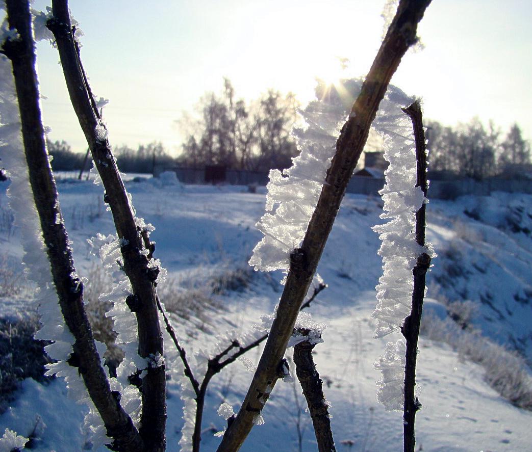 кристаллы