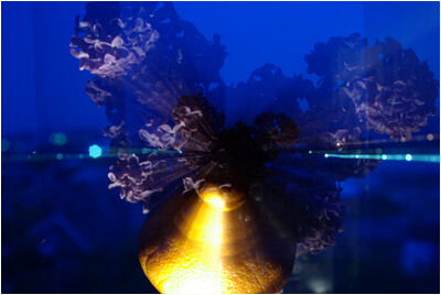 Творчество