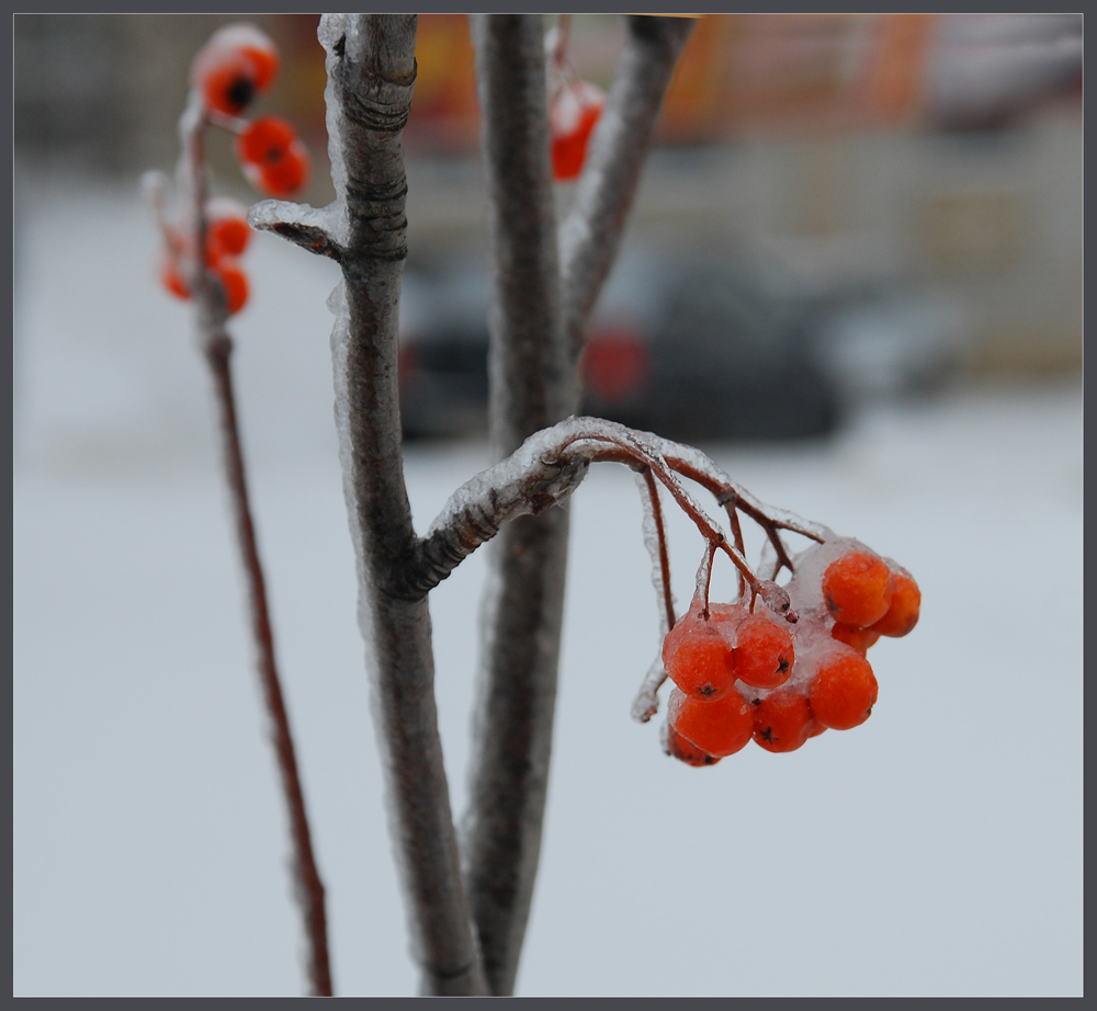 Зима в городе 3