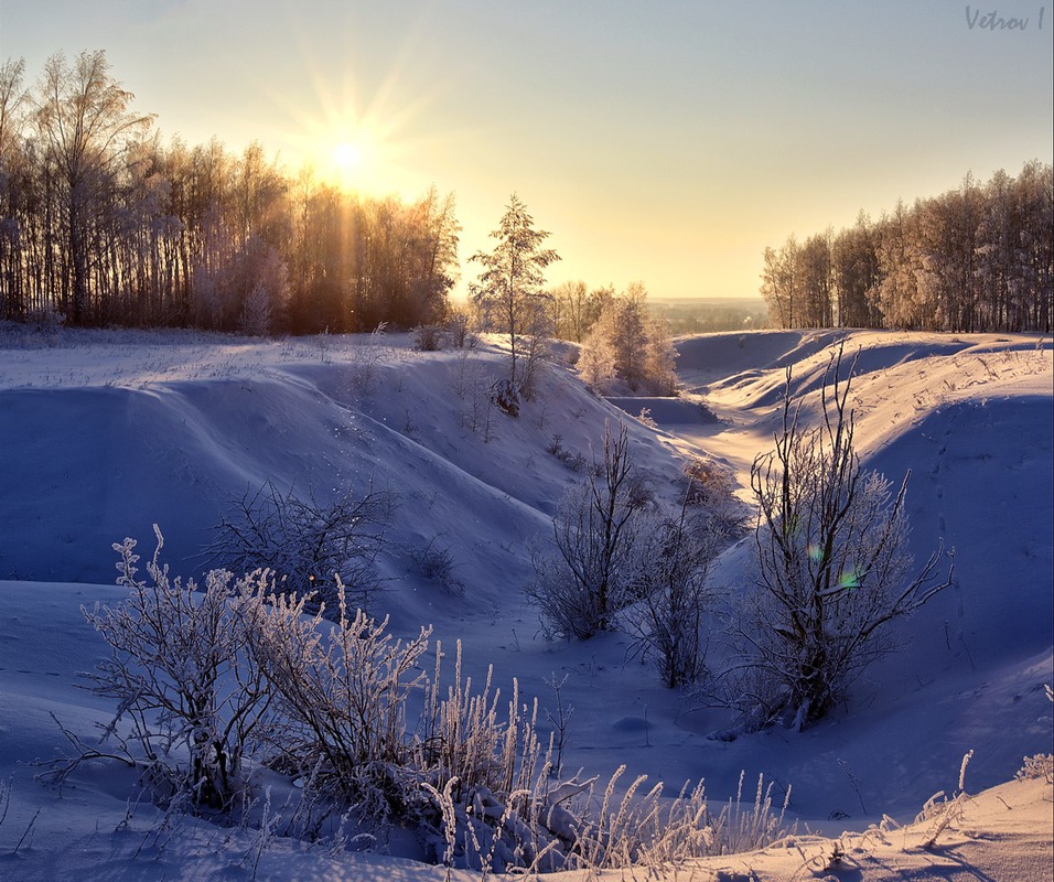 Снежное безмолвие