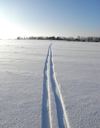 Одинокая лыжня