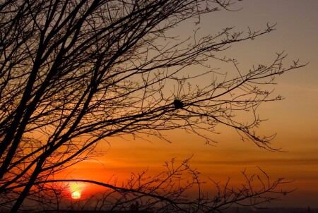 &amp;quot;На закате в зимний вечер&amp;quot;