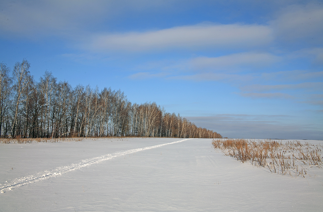 Январский день