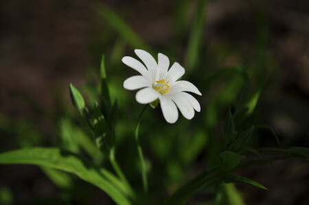 без названия №1