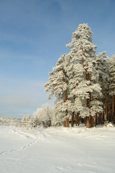 Серебро