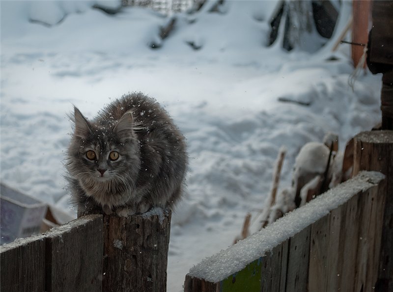 холодно же