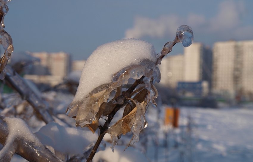 Снежная &quot;черепашка&quot;