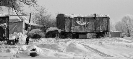 Охранники золотой рыбки )