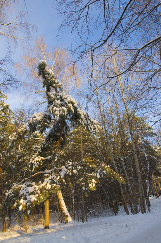 На святках