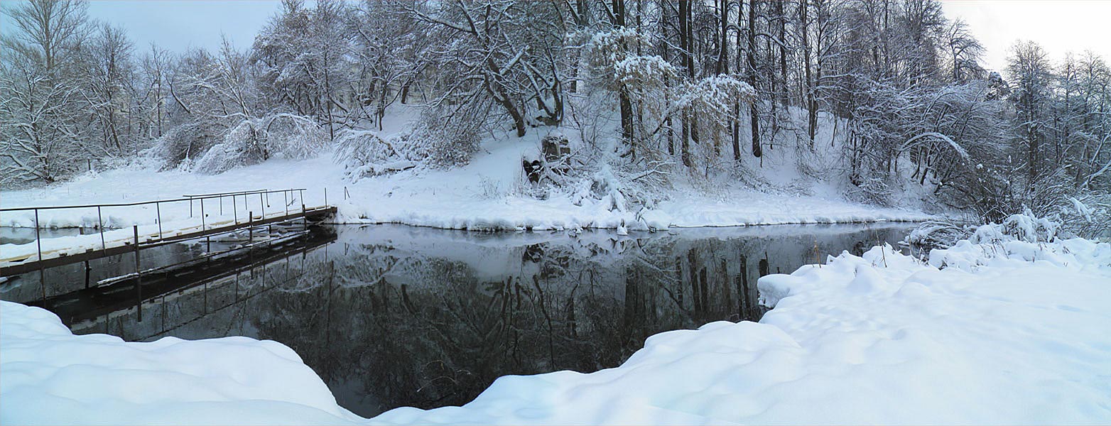 Зимняя панорама