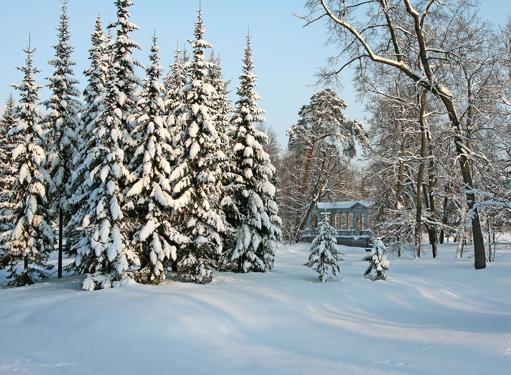 одинокий мост