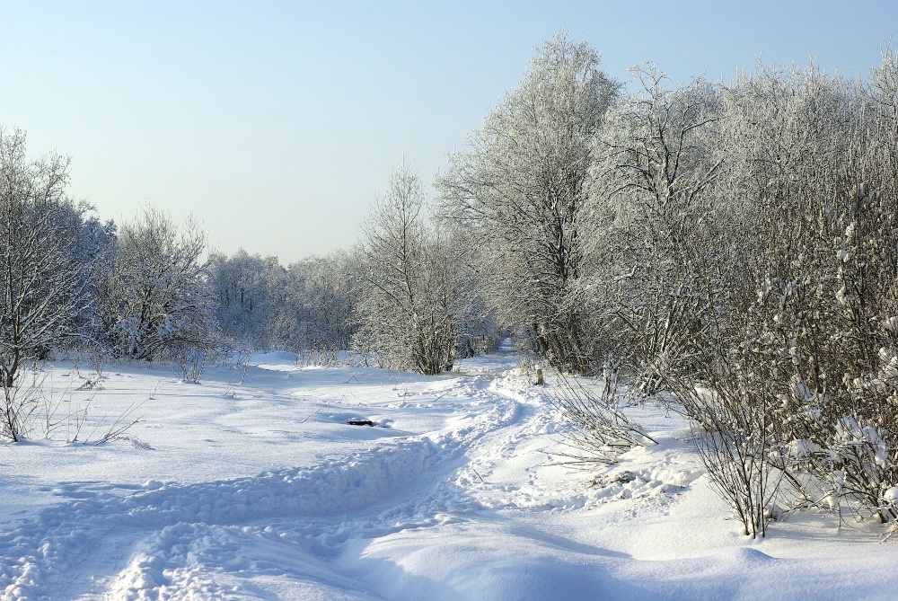 Воскресная прогулка