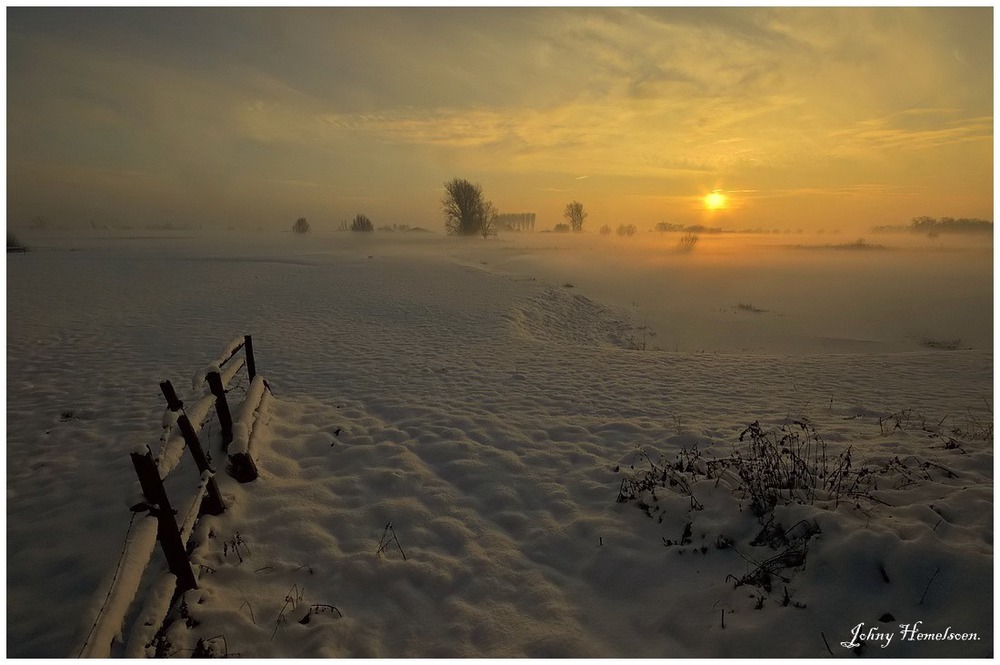 Foggy morning.