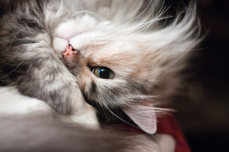 I&#039;m watching you!