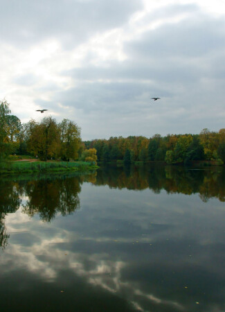 Кузьминский парк.