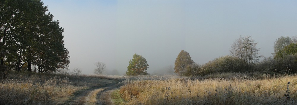 Панорама Осени