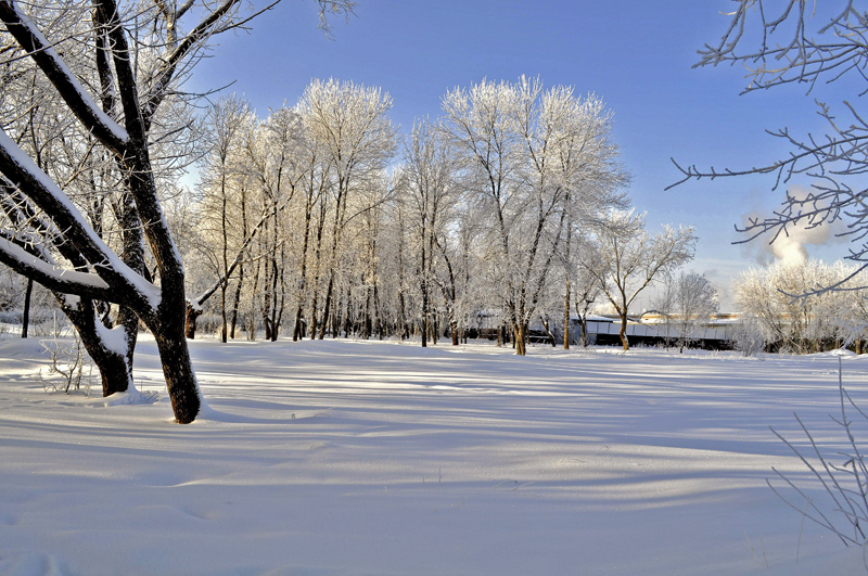 в Крещение 2011