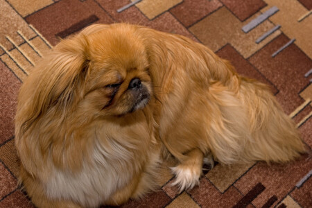 И порву каждого....