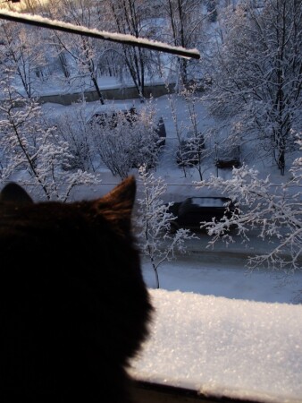 Вот он какой мир!!!