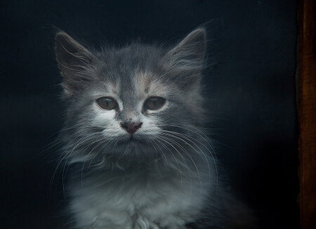 Я тебя жду.....