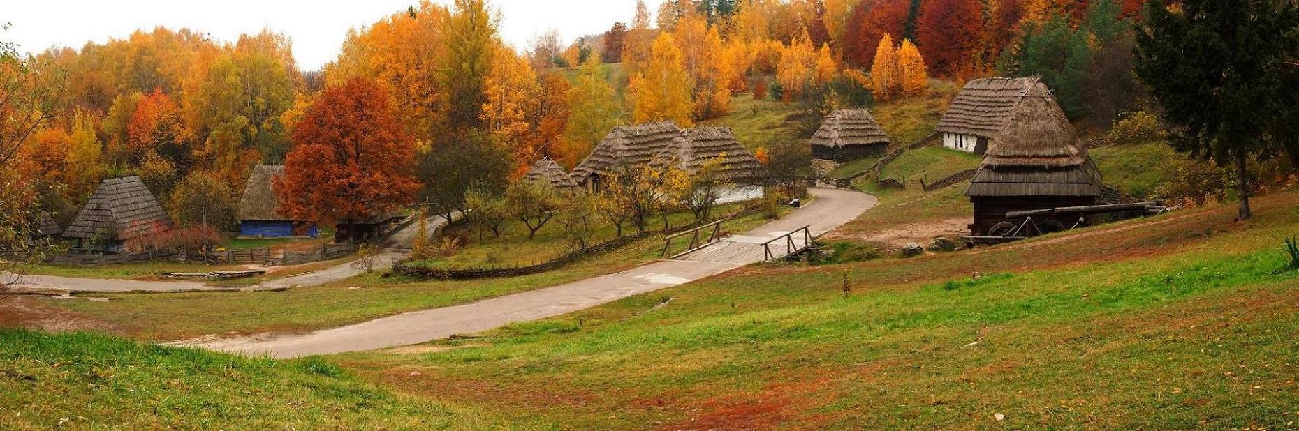 Осень в Пирогово