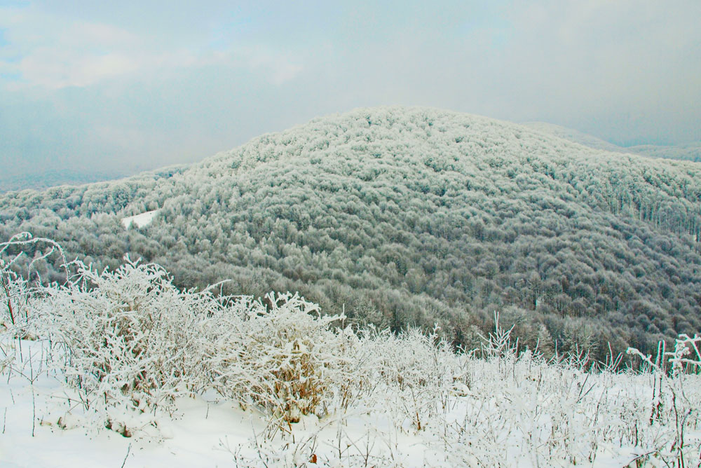 седые Карпаты