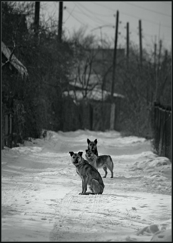 О любви не говори ...