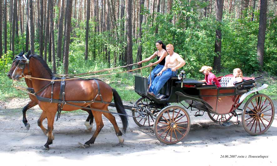 на прогулке