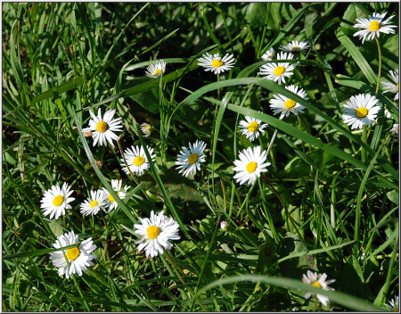 Просто так [2980]