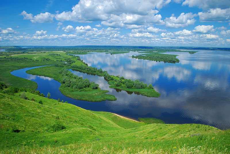 Птичий полет