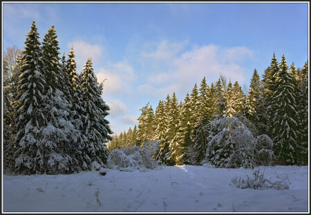 Январское Солнце