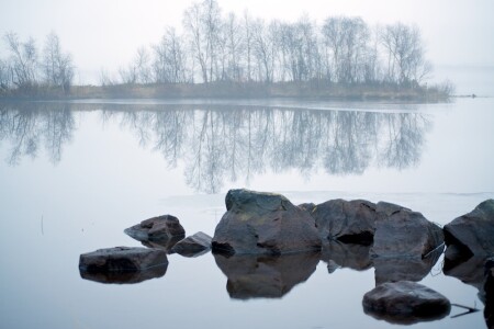 Туман и камни