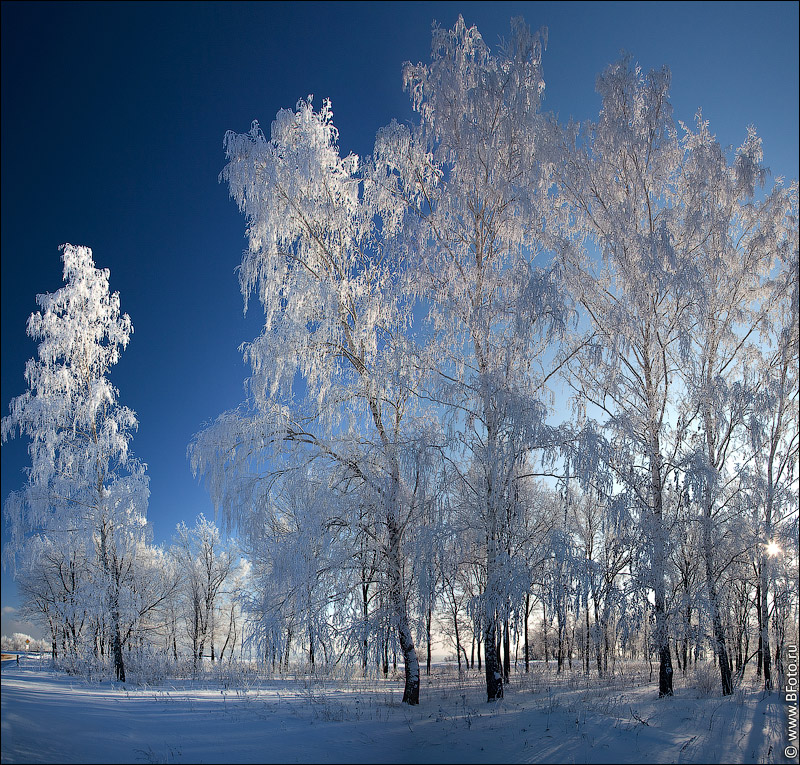 Ажурная красота