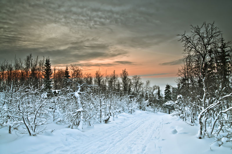 Кировск. Городской парк