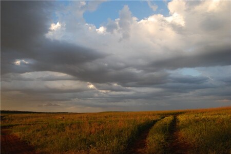 Дорога