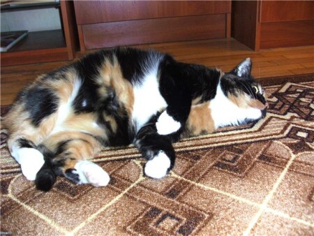 Отдыхаем!!!!