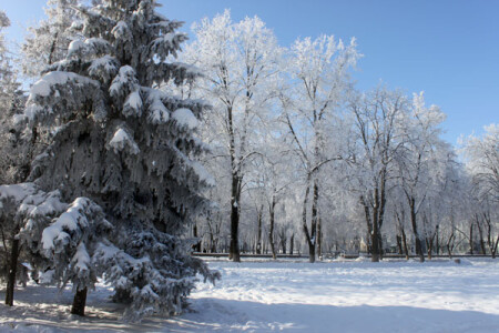 зимняя сказка