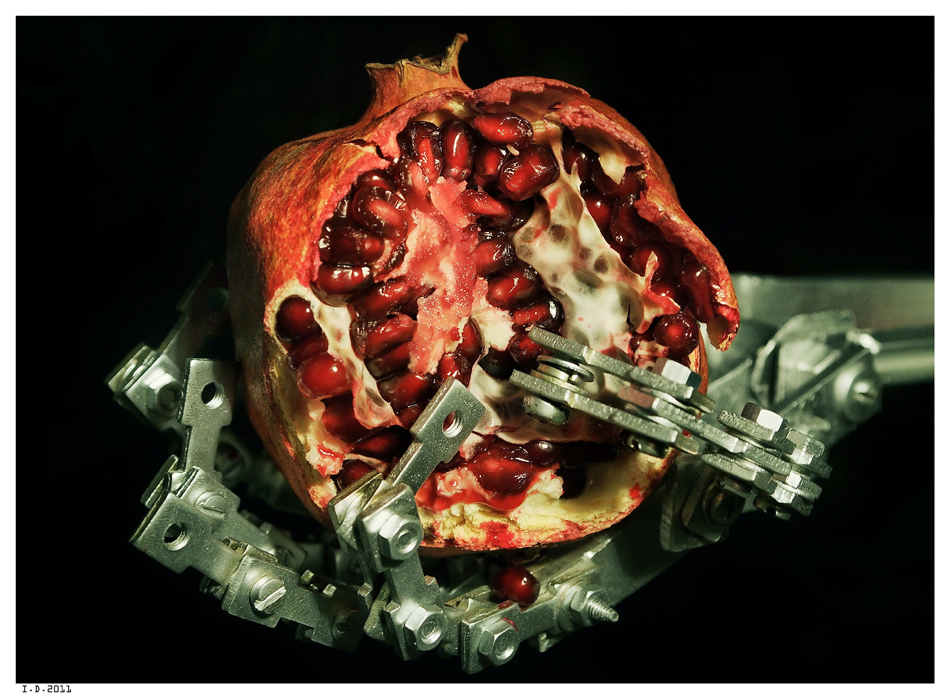 Pomegranate in a hand