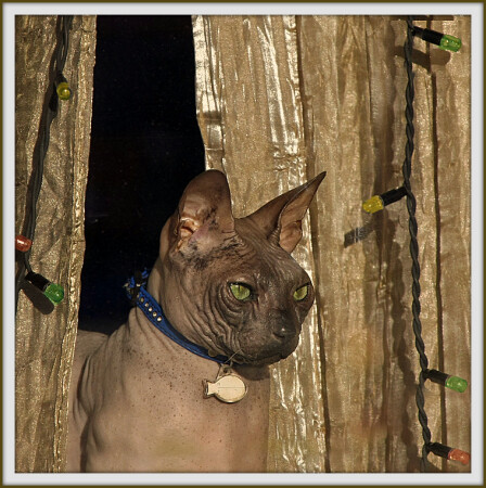 Утро Нового Года!