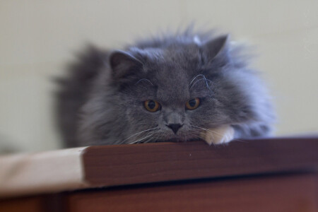 Взгляд