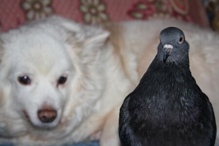 Дружба крепкая не сломается...